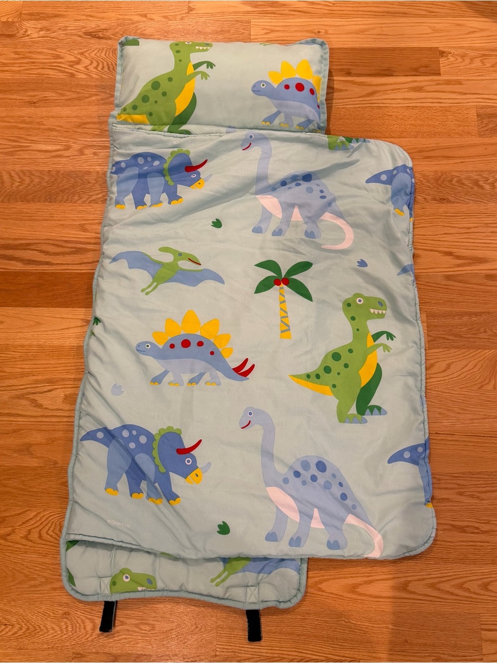 Wildkin Nap Mat with Pillow and Blanket, Preschool Rest Mat